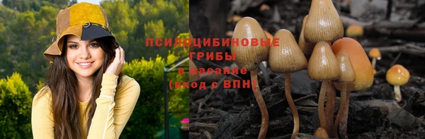 МДПВ Армянск