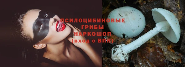 СК Арсеньев