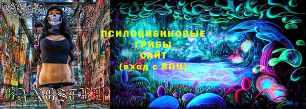 МДПВ Армянск