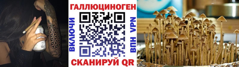 Псилоцибиновые грибы мухоморы  Петушки 